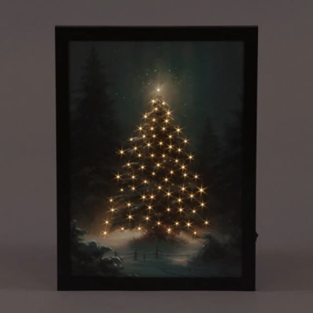 Snowtime B/o F/o 30X40Cm Framed Canvas Tree In Forest