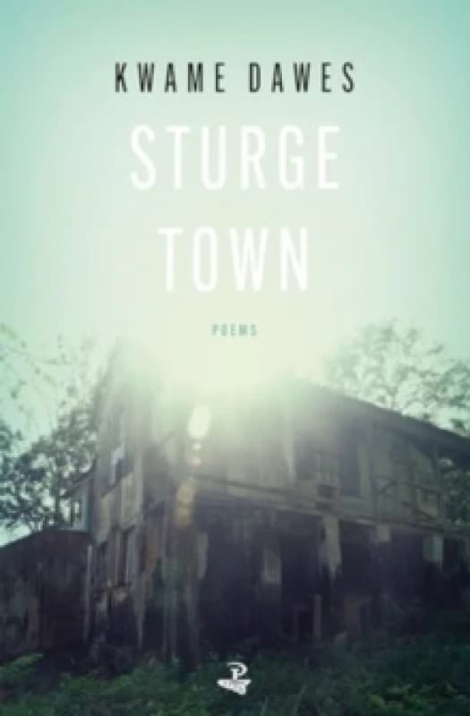 Sturge Town Paperback / softback