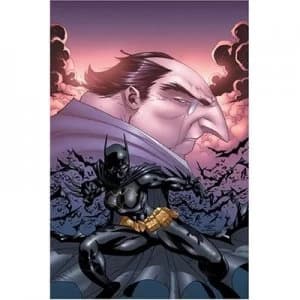 Batgirl Kicking Assassins Paperback