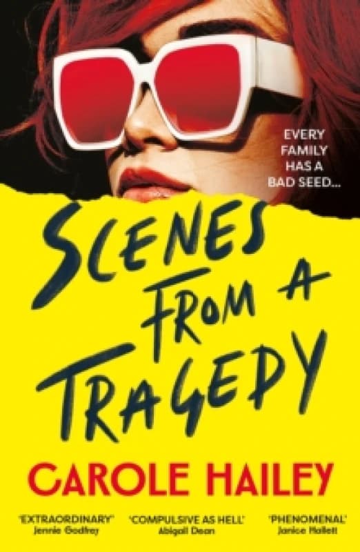 Scenes from a Tragedy : an addictive, gripping thriller from the bestselling author of The Silence Project Paperback / softback