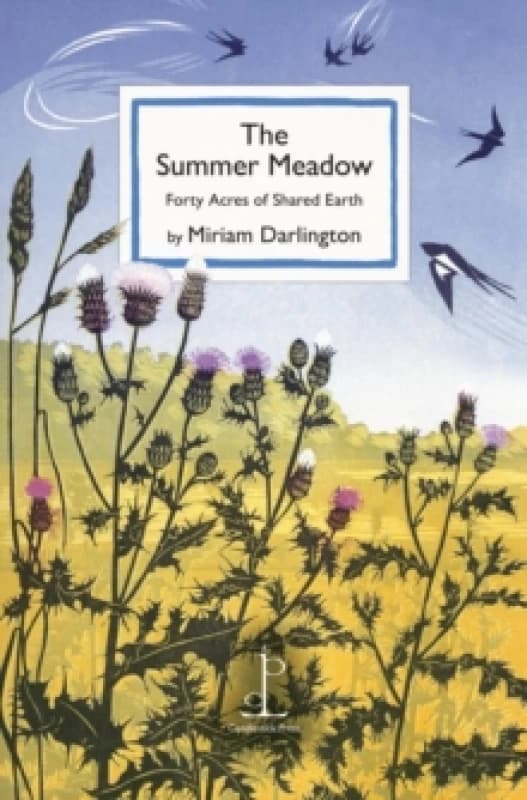 The Summer Meadow : Forty Acres of Shared Earth Paperback / softback
