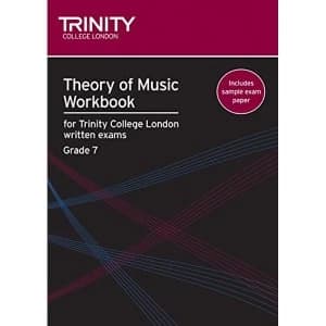Theory of Music Workbook Grade 7 (2009) 2008 Paperback / softback
