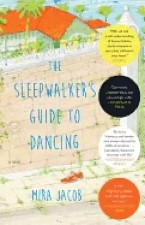 sleepwalkers guide to dancing a novel