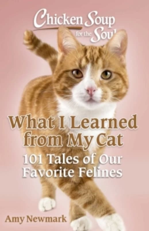 Chicken Soup for the Soul: What I Learned from My Cat : 101 Tales of Our Favorite Felines Paperback / softback