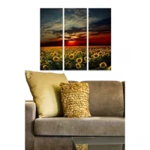 MDF92272930 Multicolor Decorative MDF Painting (3 Pieces)