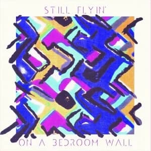 Still Flyin' - On A Bedroom Wall Vinyl