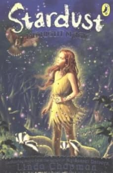 Midnight Magic by Linda Chapman Book