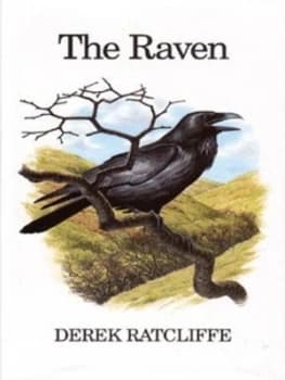 The Raven by Derek Ratcliffe Hardback