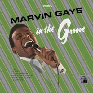 Marvin Gaye - In The Groove Vinyl
