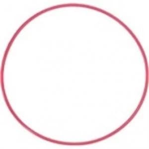 POL 050 O Ring for PT 050