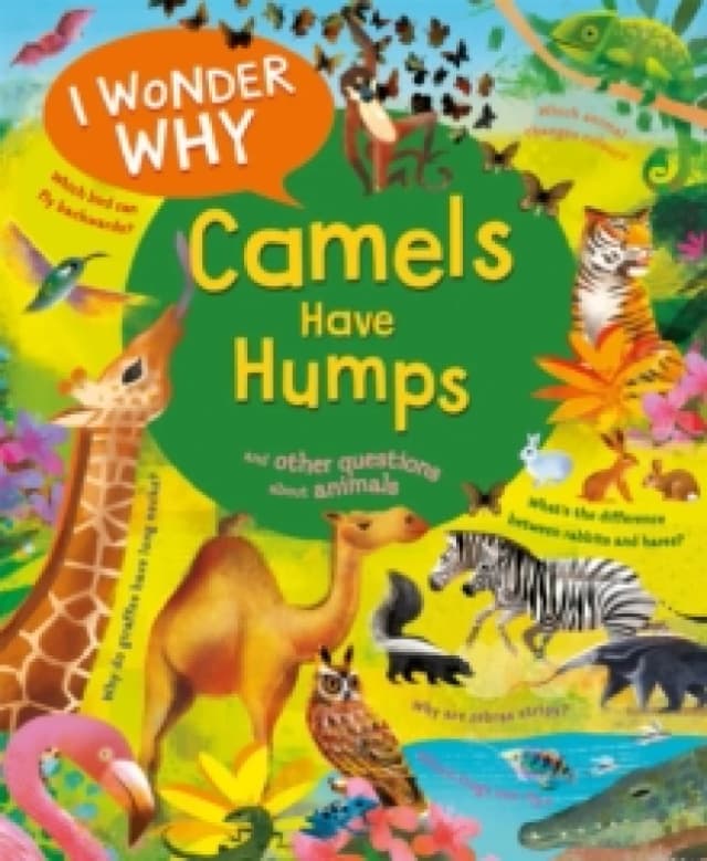 I Wonder Why Camels Have Humps : And Other Questions About Animals Paperback / softback