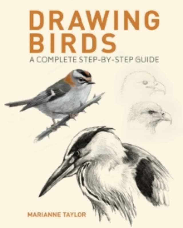 Drawing Birds : A Complete Step-by-Step Guide Paperback / softback