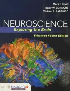 Neuroscience: Exploring The Brain, Enhanced Edition by Mark Bear