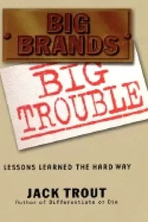 big brands big trouble lessons learned the hard way