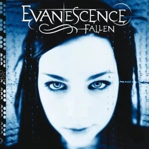Evanescence - Fallen Vinyl