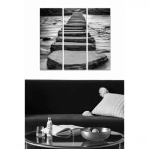 MDF193662107 Multicolor Decorative MDF Painting (3 Pieces)