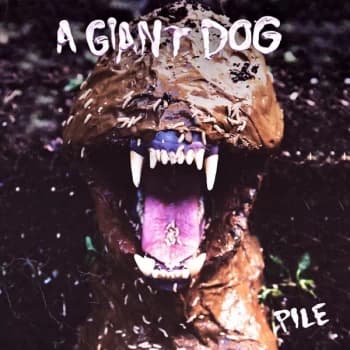 A Giant Dog - Pile CD