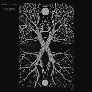 Shaam Larein - Sculpture CD