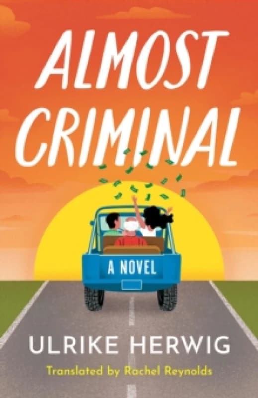 Almost Criminal : A Novel Paperback / softback