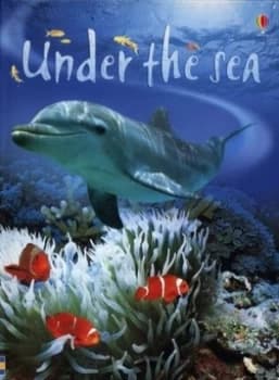 Under the Sea by Fiona Patchett and Tetsuo Kushii and Zo Wray and Margaret Rostron and Alison Kelly Hardback