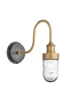 Swan Neck Outdoor & Bathroom Wall Light, Brass
