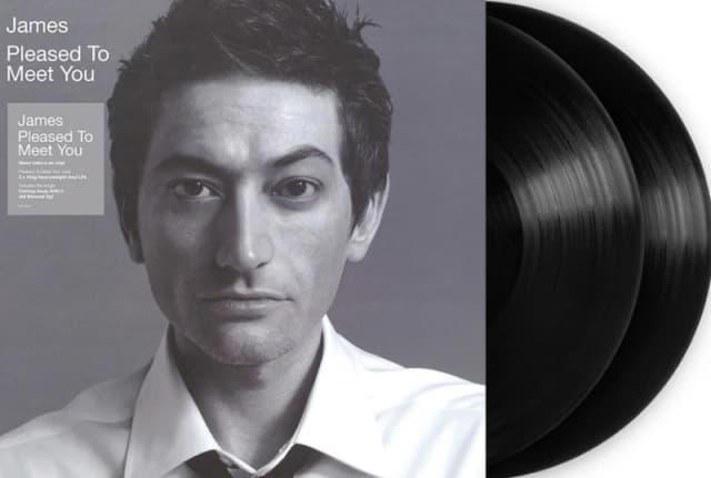 Pleased to Meet You Vinyl