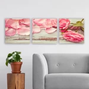 P162062 Multicolor Decorative Canvas Painting (3 Pieces)