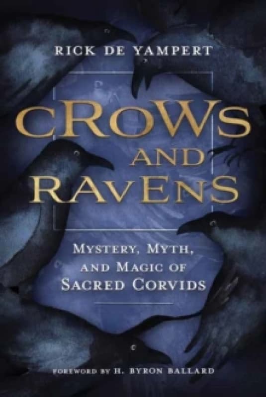 Crows and Ravens. Paperback. By Rick De Yampert Books