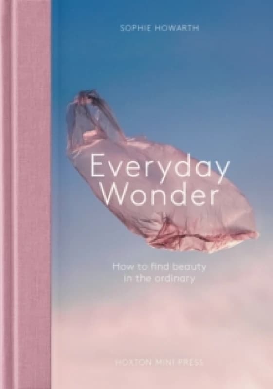 Everyday Wonder : How to find beauty in the ordinary Hardback