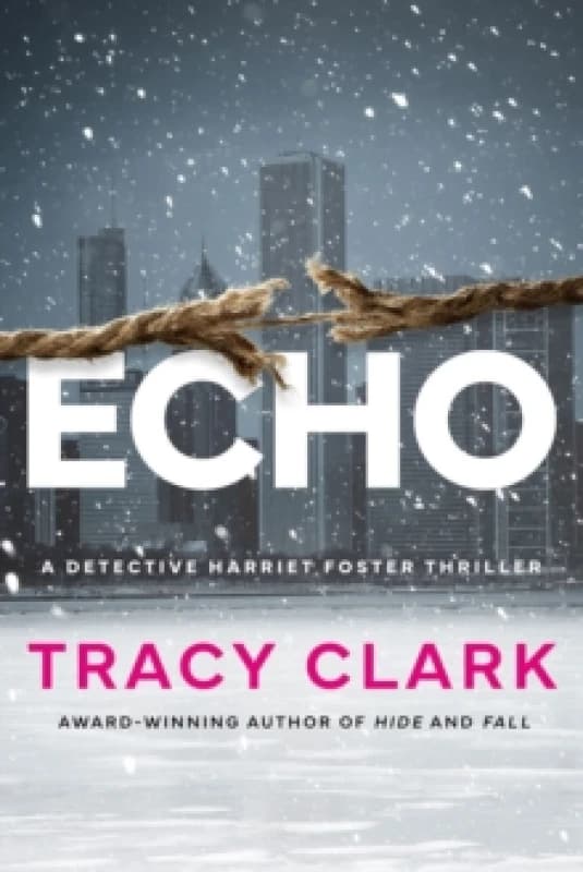 Echo Paperback / softback