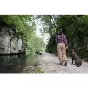 Brennenstuhl LuxPremium TL 250F LED (monochrome) Torch Wrist strap battery-powered 250 lm 4 h 215 g