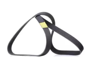 RIDEX V-ribbed belt 305P0444 Serpentine belt,Auxiliary belt TOYOTA,LEXUS,RAV 4 III (ACA3_, ACE_, ALA3_, GSA3_, ZSA3_),SIENNA (ASL3_, GSL3_)