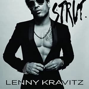Lenny Kravitz - Strut Vinyl