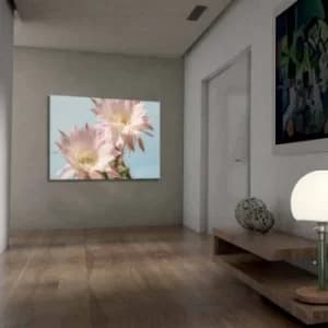 701002021C-013 Multicolor Decorative Canvas Painting