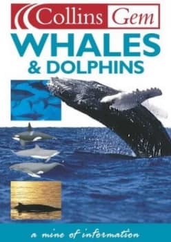 Whales and Dolphins by Mark Carwardine Paperback