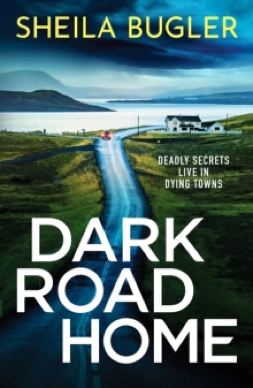Dark Road Home : A tense and gripping Irish crime thriller Paperback / softback