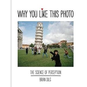 Why You Like This Photo: The science of perception, and how we understand photographs by Brian Dilg (Hardback, 2017)