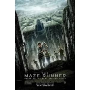 The Maze Runner DVD