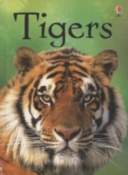 Tigers by James Maclaine and John Francis and Kimberley Scott Hardback