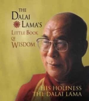 dalai lamas little book of wisdom