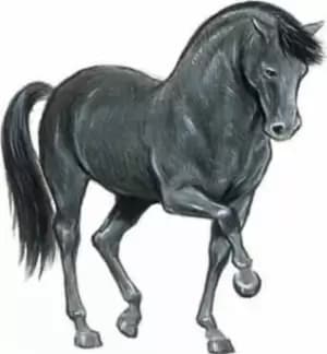 Favorite Horse Stickers by John Green