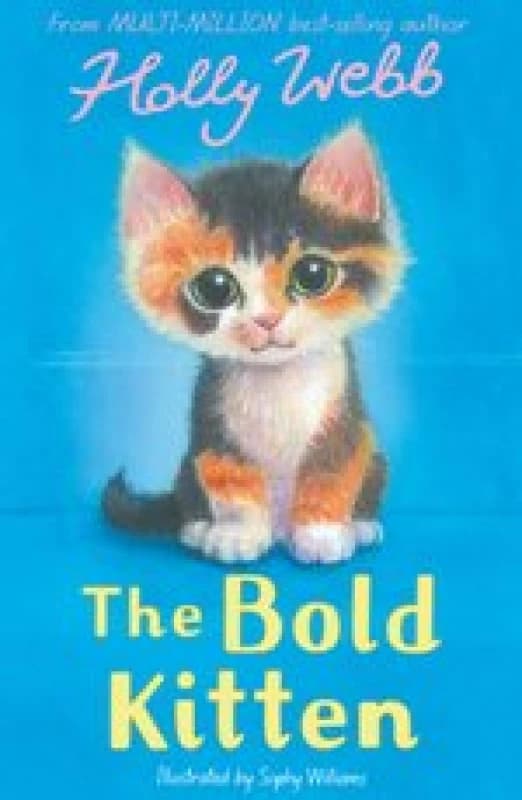 The Bold Kitten Paperback / softback