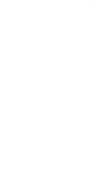 Imperial ECOVAN 4S 185/80 R14 102R