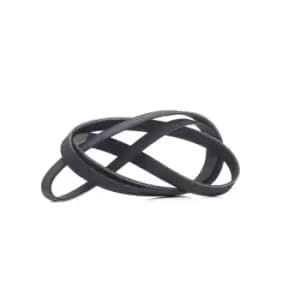 RIDEX V-ribbed belt VW,AUDI,MERCEDES-BENZ 305P0208 03D145933AD,06C903137E,078903137BC 3D145933AC,11287799860,11287803476,25183022,5750PT,5750XC,5750PS