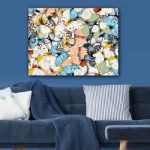 71178997_70100 Multicolor Decorative Canvas Painting