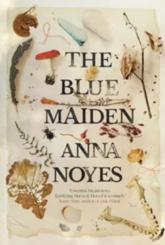 The Blue Maiden : A dazzling feminist gothic about witches, loss and resilience Hardback