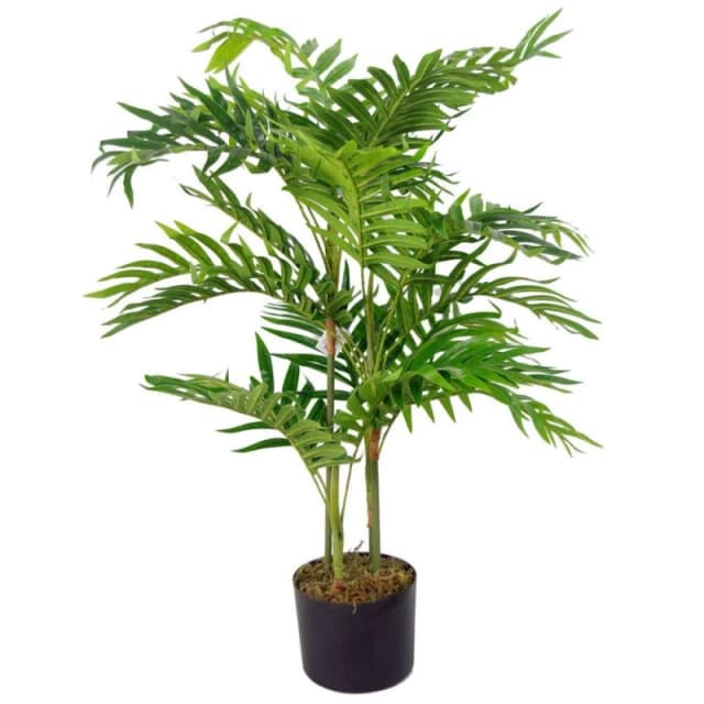 Leaf 80cm Leaf Design UK Large Realistic Artificial Palm Tree Areca Green unisex