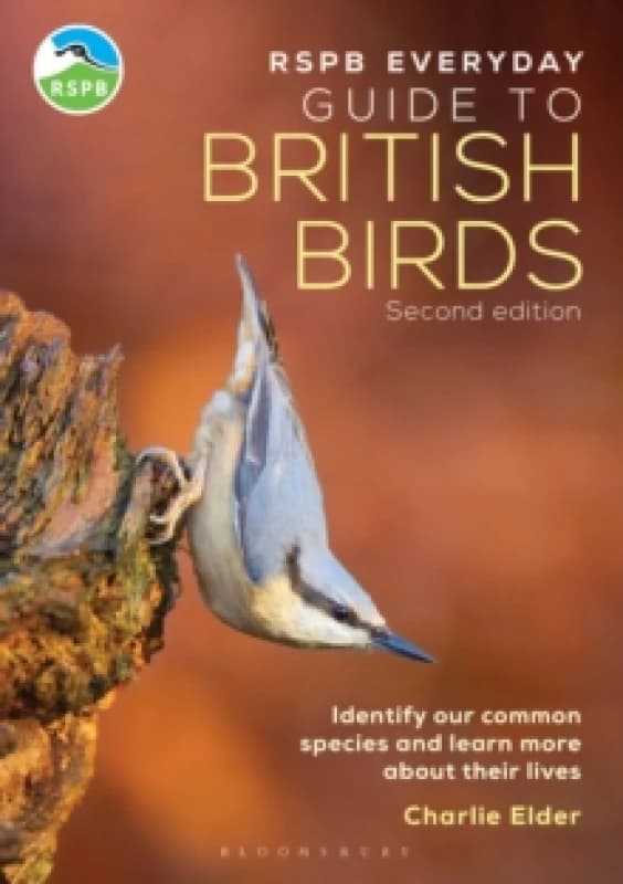 RSPB Everyday Guide to British Birds : Identify our common species and learn more about their lives Paperback / softback