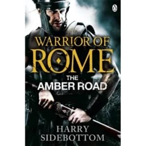 Warrior of Rome VI: The Amber Road by Harry Sidebottom (Paperback, 2014)