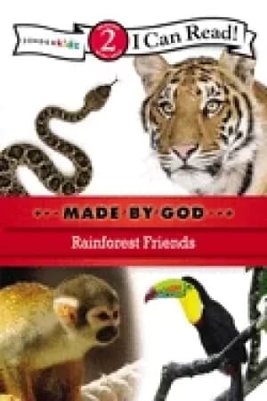rainforest friends level 2